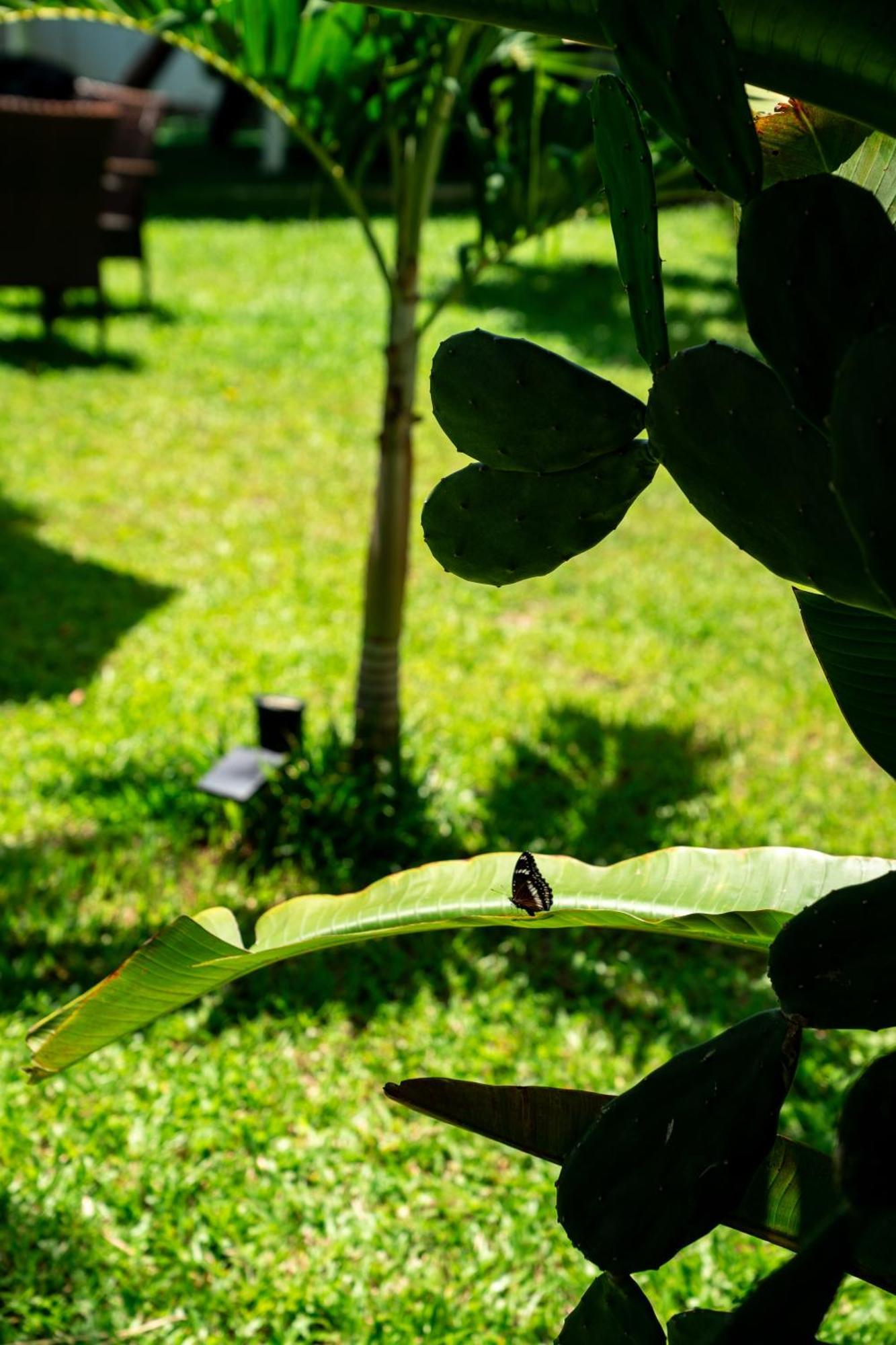 Koh Samui Resort & Restaurant Taling Ngam-stranden Eksteriør billede
